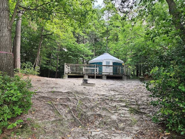 Trap Pond - Image 3