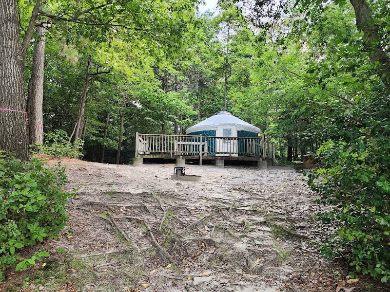 Trap Pond - Image 3