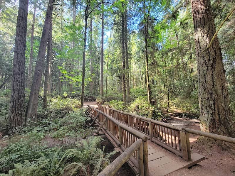 Grand Forest West - Image 1