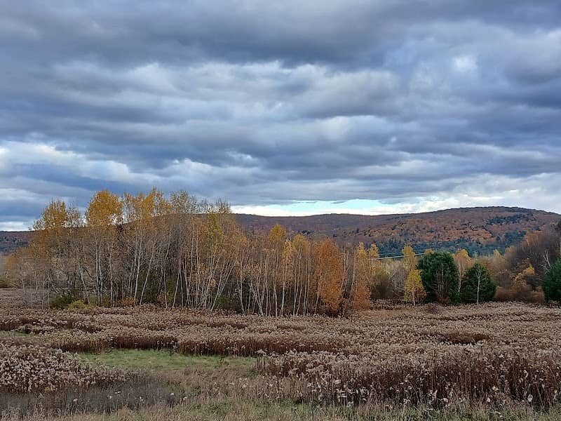 Brattle Brook Park - Image 2