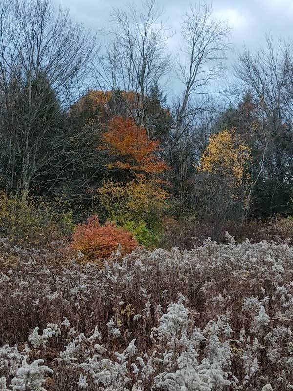 Brattle Brook Park - Image 1