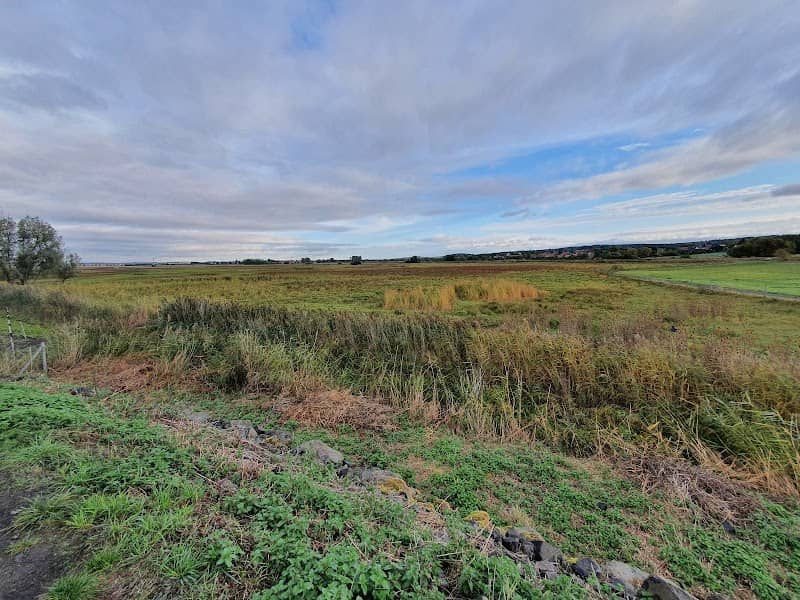 Bingenheimer Ried - Image 1