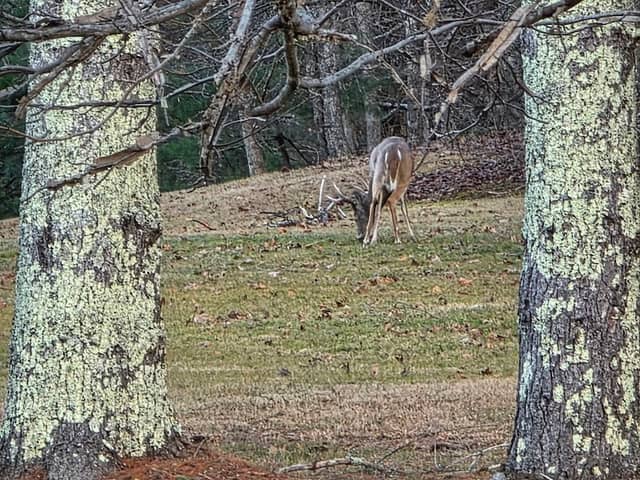 Recreation Area - Image 1