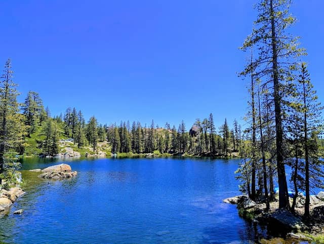 Tahoe National Forest - Image 1