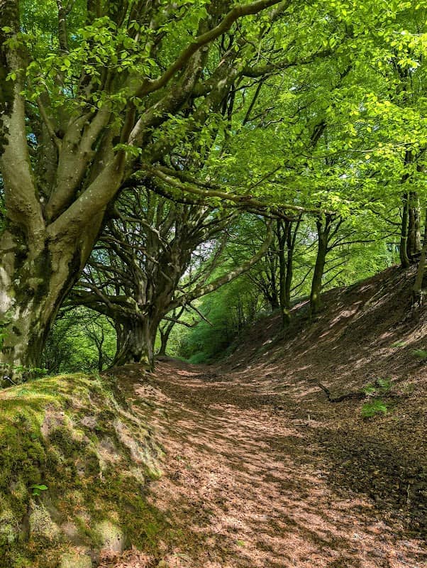 Blackdown Hills National Landscape - Image 1