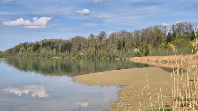 Vogelfreistätte Innstausee bei Attel und Freiham - Image 1