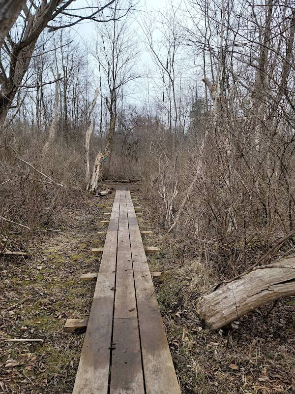 Victor Hiking Trails Inc - Image 2