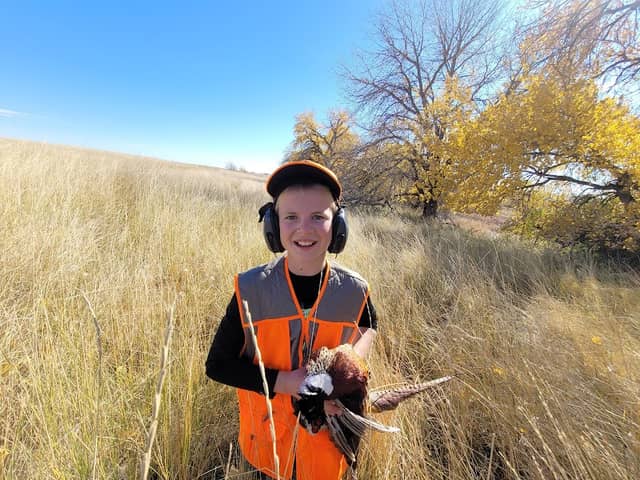 Springer Wildlife Mangement Unit - Image 1