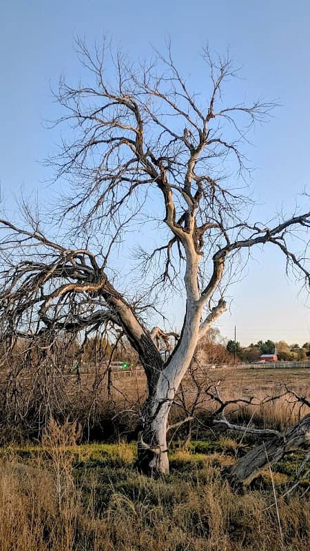 Grapevine Open Space - Image 1