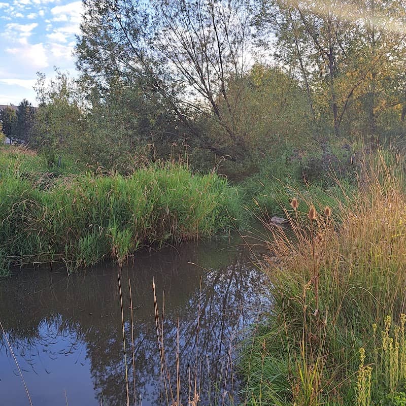 Heron's Hideout - Image 1