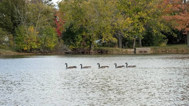 Old Grove Park - Image 1