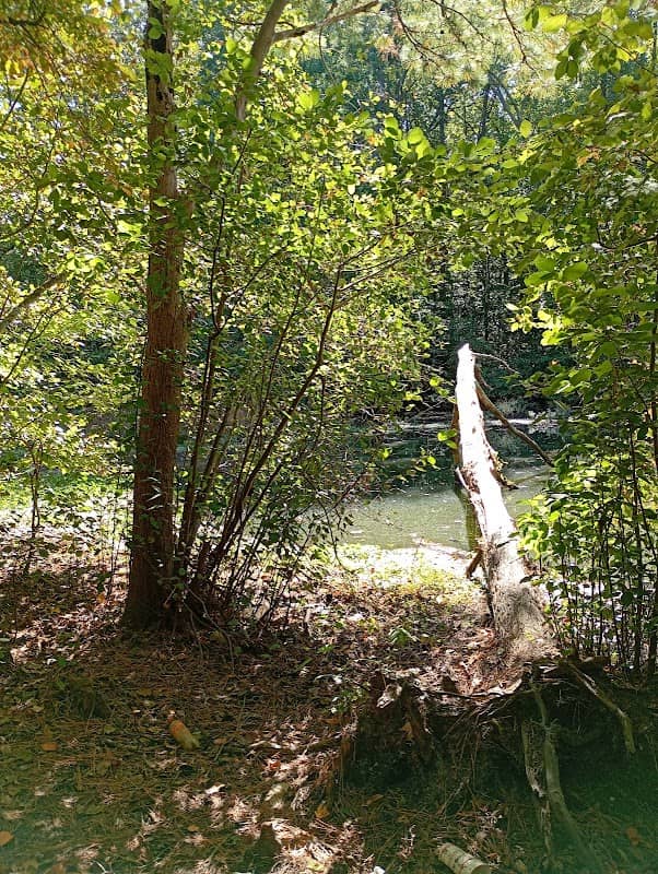Deer Park - Image 2