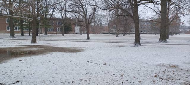 The Quad - Image 1