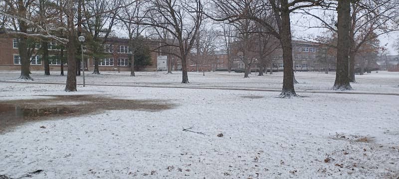 The Quad - Image 1