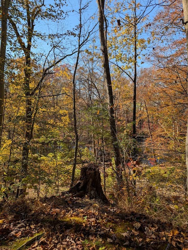 Passaic River Park - Image 1