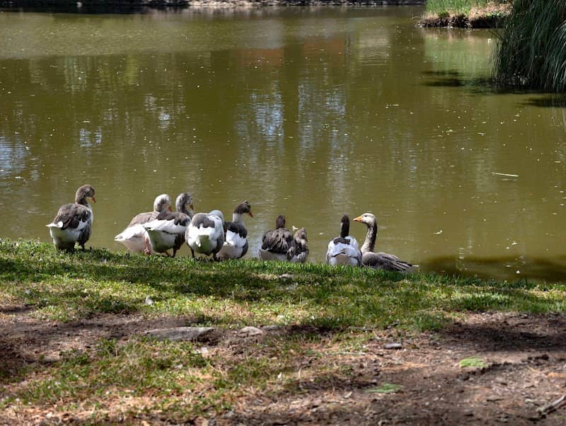 Malmsbury Botanical Gardens - Image 1