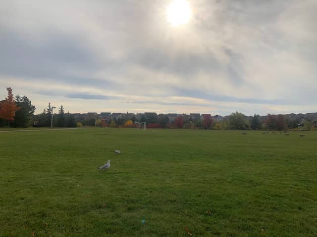 Homestead Park - Image 2
