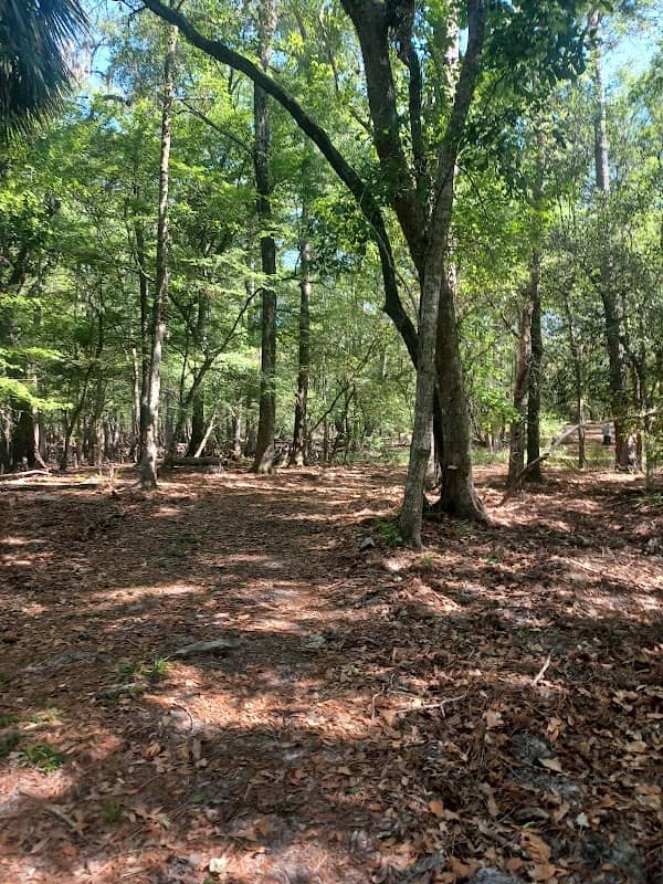 Andrews Wildlife Management Area - Andrews Tract - Image 1