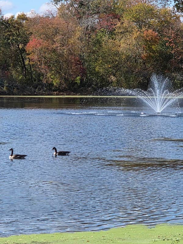 Albert V. Giampietro Memorial Park - Image 1