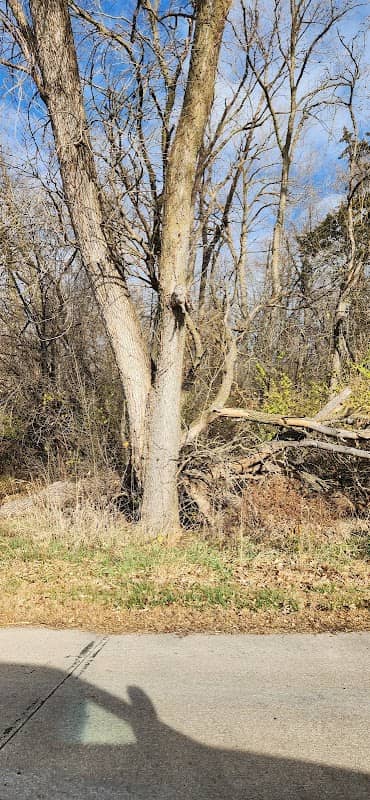 Wildwood Park (City of Fremont) - Image 2