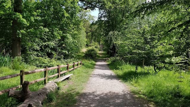 Parndon Wood Nature Reserve - Image 2