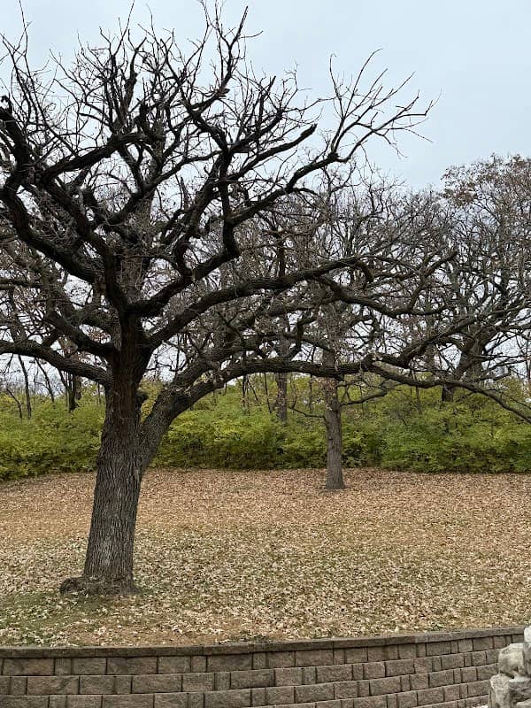 Prospect Park - Image 1