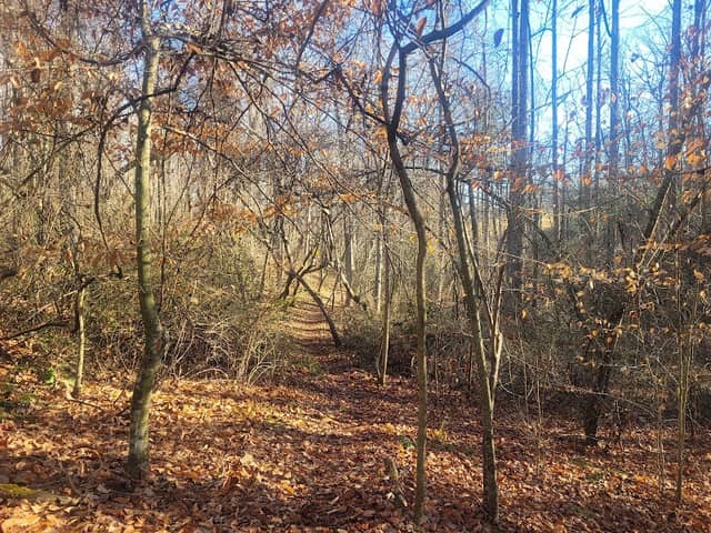 Bradley Nature Preserve - Image 1