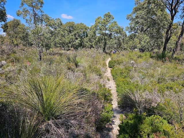Talbot Road Nature Reserve - Image 3