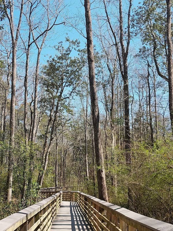 Dothan Trail Park Forever Wild Tract - Image 3