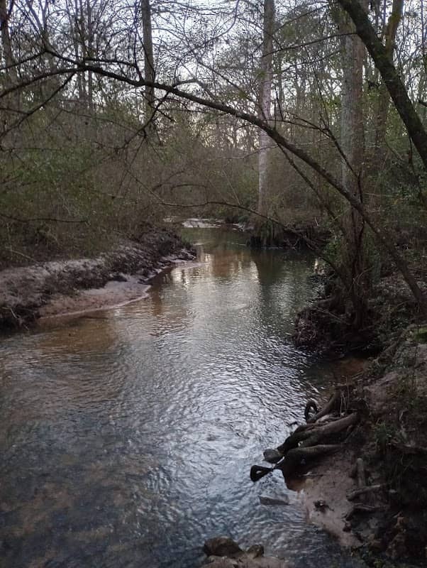 Dothan Trail Park Forever Wild Tract - Image 1