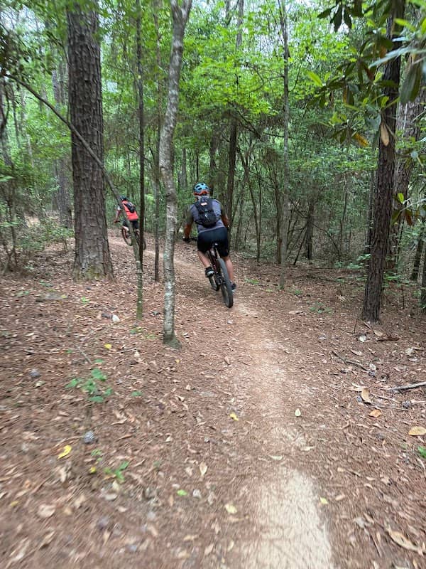 Dothan Trail Park Forever Wild Tract - Image 2