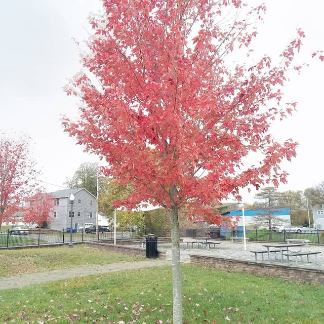 Rivers End Park - Image 2