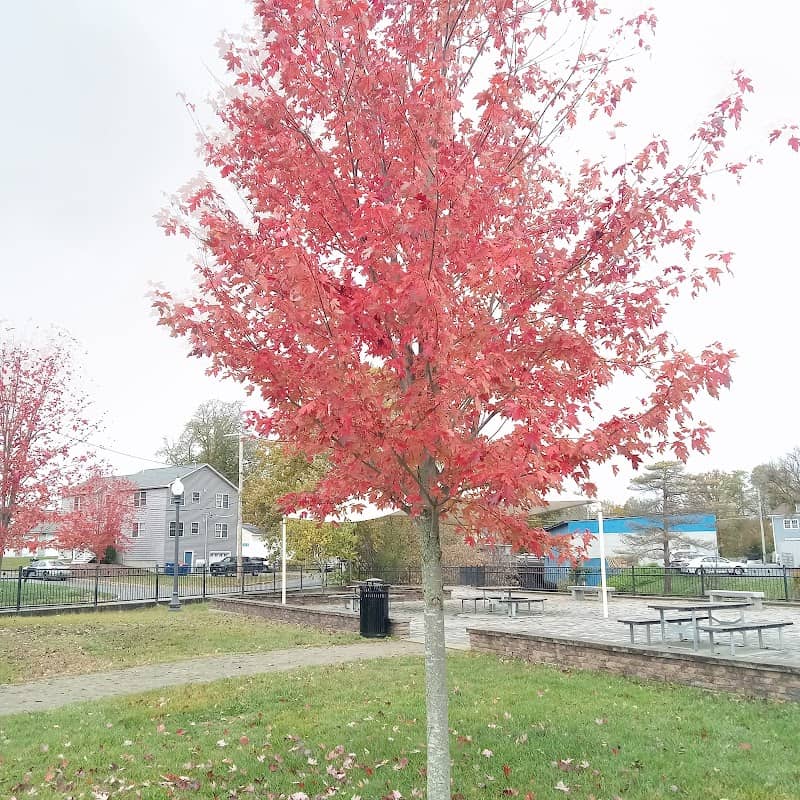 Rivers End Park - Image 2