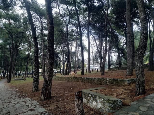 Nea Elvetia Park - Image 2