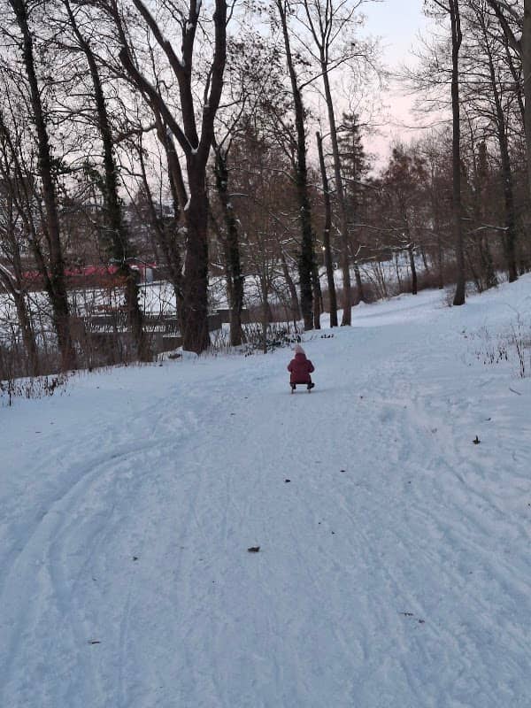 Stadt Park - Image 1