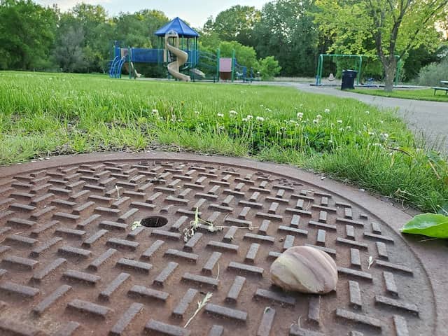 Cavell Park - Image 3