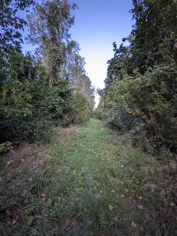 Overton Bottoms North Unit - Image 1