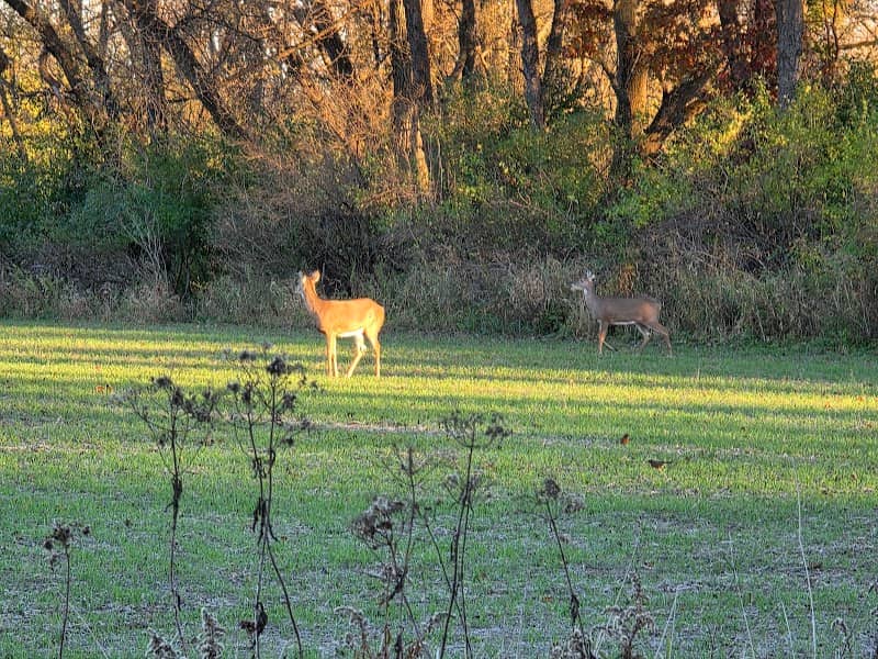 Upper Yahara River Environmental Corridor - Image 1