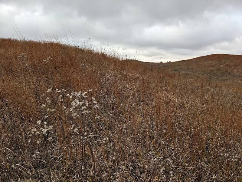 Cayler Prairie State Preserve - Image 2