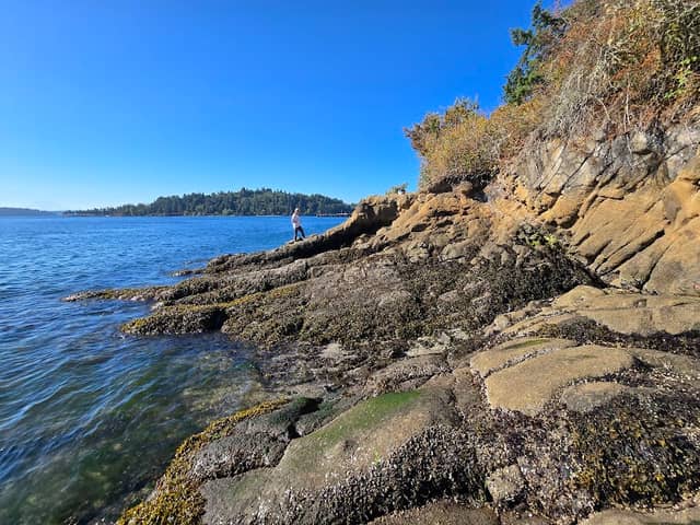 Blakeley Formation - Image 2