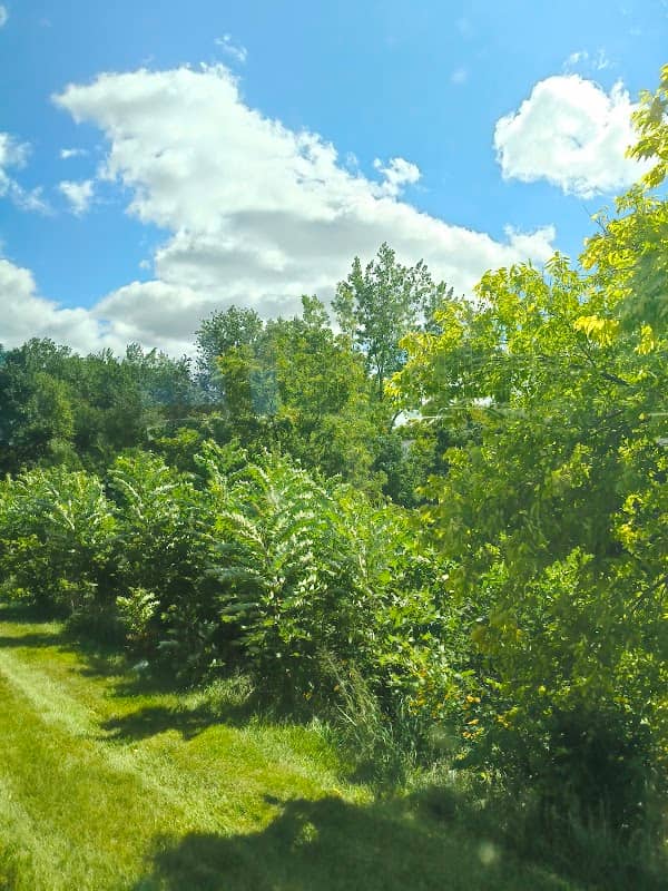 North Ridge Open Space - Image 1