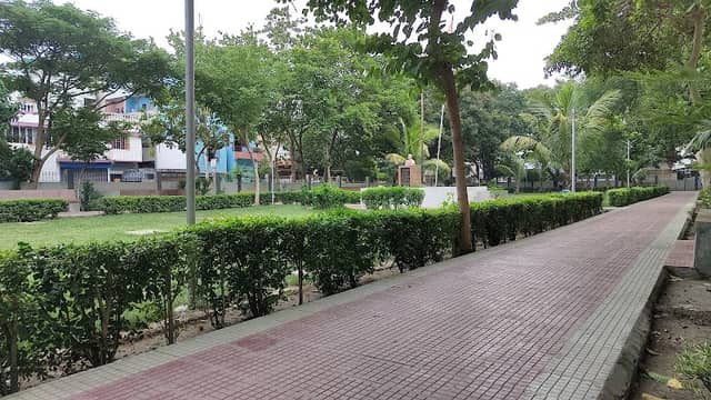 Coconut Park - Image 1