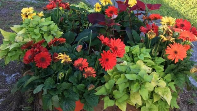 The Garden Club of Callahan - Image 1