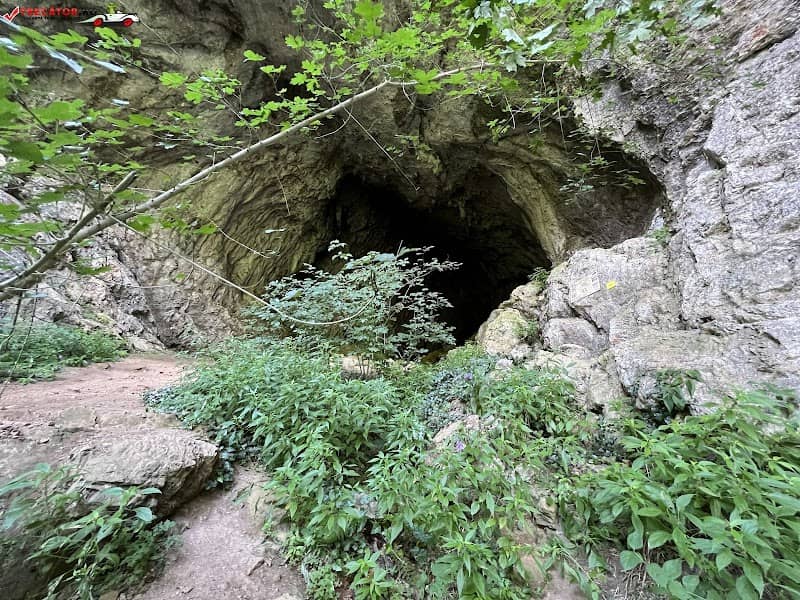 Dracoaia Cave - Image 2
