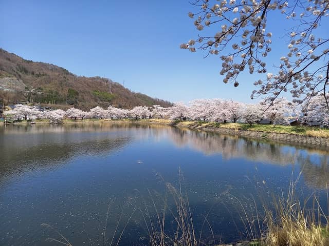 Haruta Park - Image 2