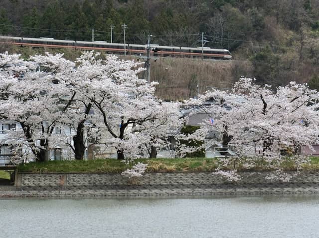 Haruta Park - Image 1