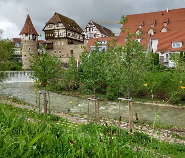Zollernschloss Balingen - Image 3