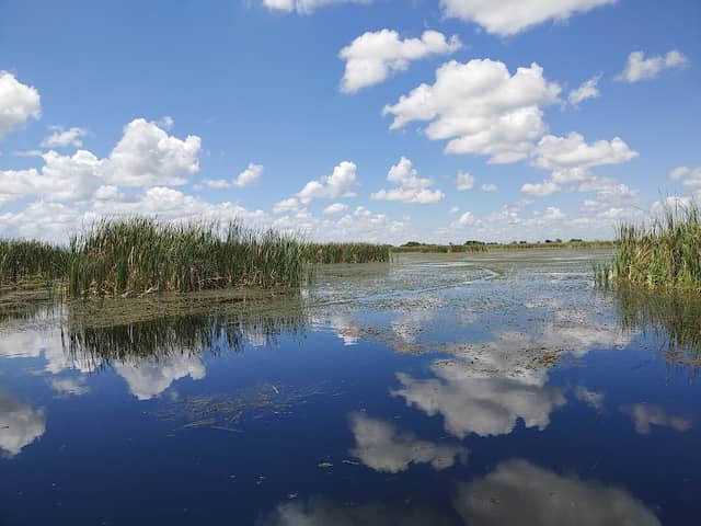 Blue Cypress Conservation Area - Image 3