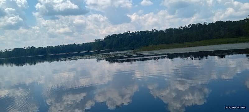 Silver Lake Wildlife Management Area K-9786 - Image 2