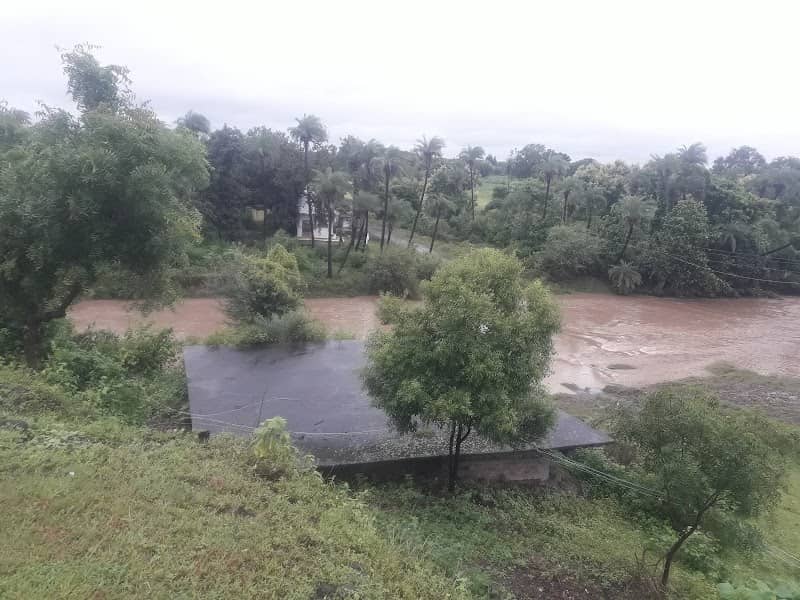 Tillore River - Image 1